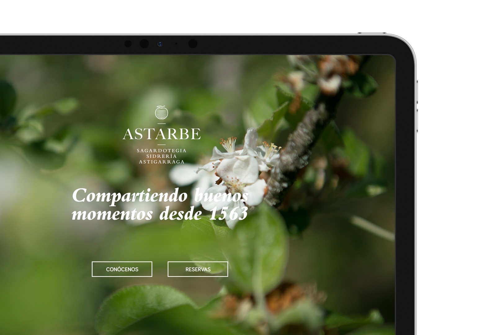 Diseño de la cabecera de página web Astarbe